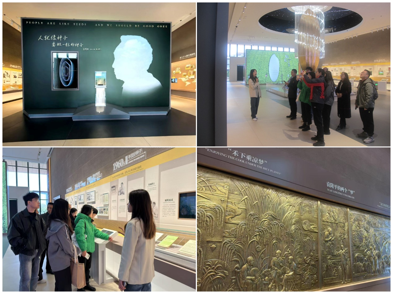 BETVLCTOR伟德在线